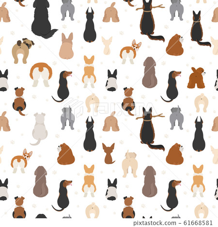 Dog poses behind. Dog`s butts. Flat design 61668581