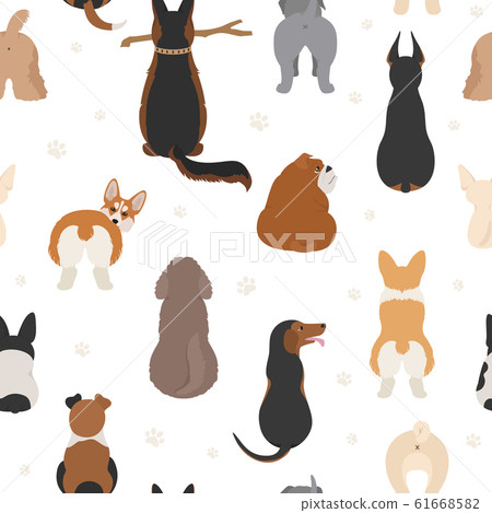 Dog poses behind. Dog`s butts. Flat design 61668582