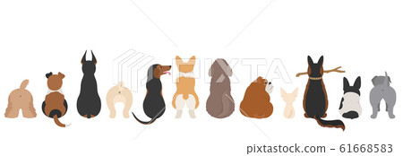 Dogs poses behind. Dog`s butts. Flat design border 61668583