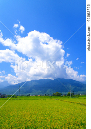 大ito線風景 61668726