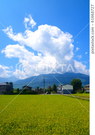 大ito線風景 61668727
