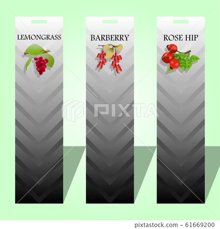 Three long labels with seasoning berries vector Three long labels with seasoning berries vector 61669200
