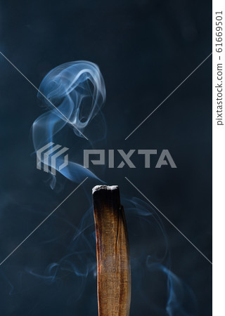 Palo Santo, holy tree stick burning with beautiful aromatic smoke 61669501