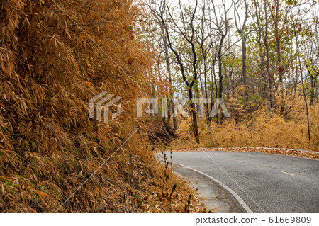 Road lead to Wat Phra Yhat Doi Phra Chan on the top of a mountain in Mae Tha District 61669809