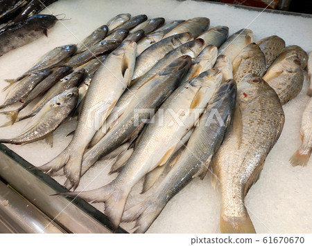 Various types of fish in the fish market are displayed for sale. Labelled with fish species and prices. 61670670