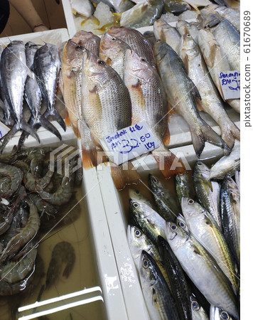 Various types of fish in the fish market are displayed for sale. Labelled with fish species and prices. Various types of fish in the fish market are displayed for sale. Labelled with fish species and prices. 61670689