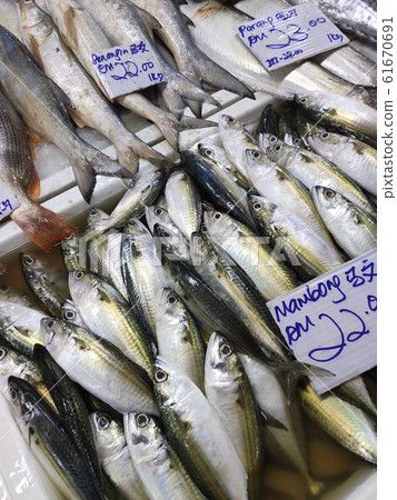 Various types of fish in the fish market are displayed for sale. Labelled with fish species and prices. 61670691