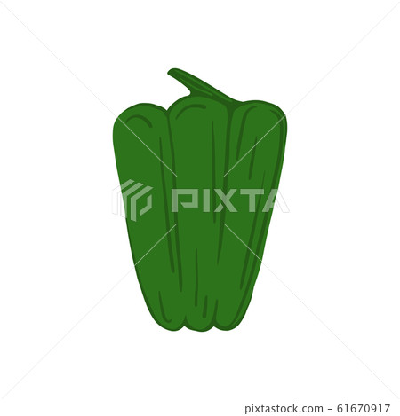 Green bell pepper isolated on white background. - Stock Illustration ...