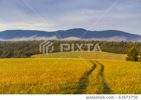 Morning fog under Vihorlat, Slovakia 61673750