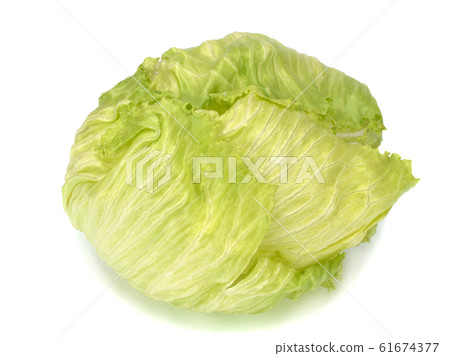 Iceberg lettuce on a white background 61674377