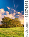 Group of few trees with orange leaves 61674861