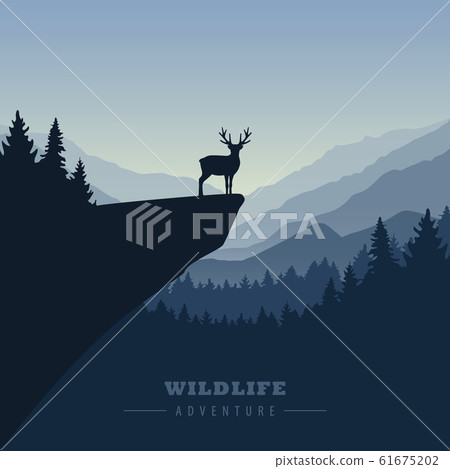 wildlife adventure elk in the wilderness on a cliff wildlife adventure elk in the wilderness on a cliff 61675202