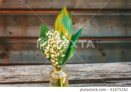 Lily of the valley or may lily on wooden 61675292