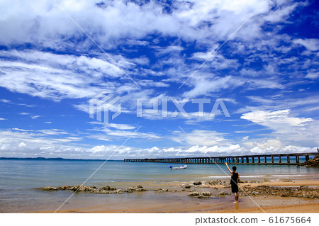 Concrete bridges stretched into the sea. 61675664