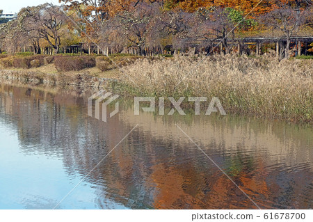 Nagoya Castle Point View 61678700