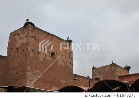 Morocco, Marrakesh, Djemaa el Fna Square, Stork Morocco, Marrakesh, Djemaa el Fna Square, Stork 61679275