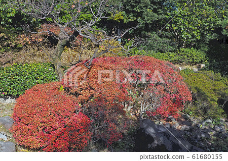 天鵝花園點景觀 61680155