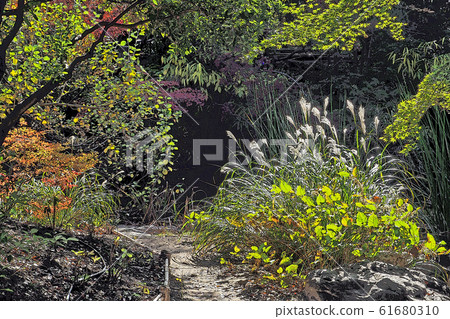 天鵝花園點景觀 61680310