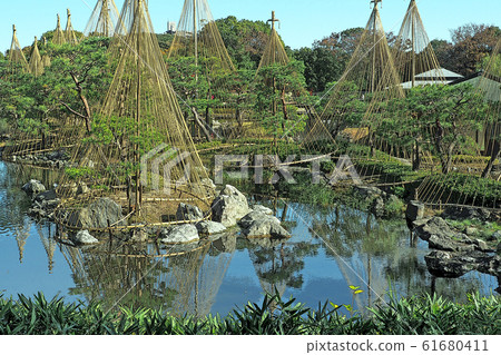 Swan Garden Point View 61680411