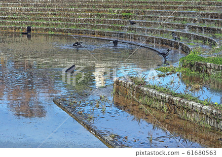 天鵝花園點景觀 61680563