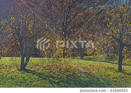 天鵝花園點景觀 61680565