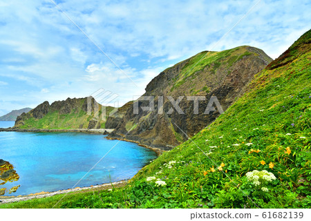 Rebun Island in July: Cape Sumiumi where flowers bloom 61682139