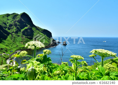 Rebun Island Cat Rock Observatory in June 61682140