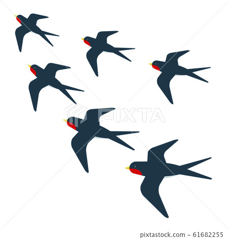 Flock of swallows 61682255