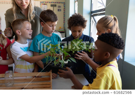 Female teacher around a box of plants for a nature study lesson in an elementary school classroom Female teacher around a box of plants for a nature study lesson in an elementary school classroom 61682566
