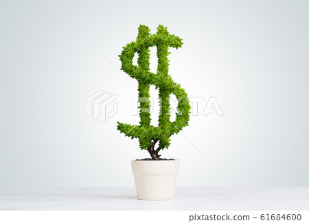 Concept of investment income and growth with money tree in pot 61684600