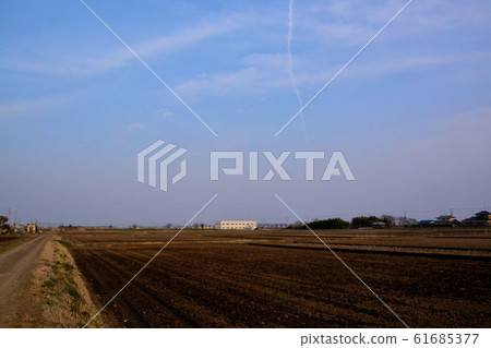 風景三月 風景三月 61685377