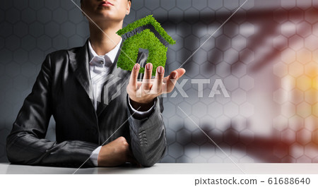 Concept of eco friendly real estate. 61688640