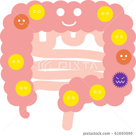 Illustration of a well-balanced intestinal flora 61693095