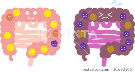 腸道菌群的插圖 腸道菌群的插圖 61693100