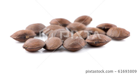 Nuts Incas , sacha inchi peanut seed an isolated Nuts Incas , sacha inchi peanut seed an isolated 61693809