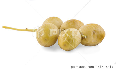 fresh Date Fruit an Isolated on White Background fresh Date Fruit an Isolated on White Background 61693815