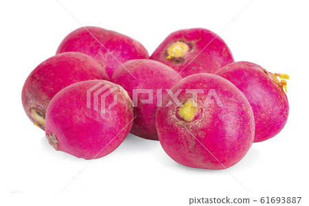 Small garden radish an isolated on white Small garden radish an isolated on white 61693887