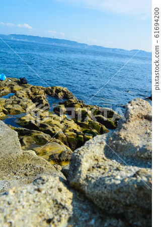 Sarushima Sarushima 61694200