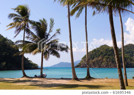 Palm tree on sand beach on blue sea background 61695346