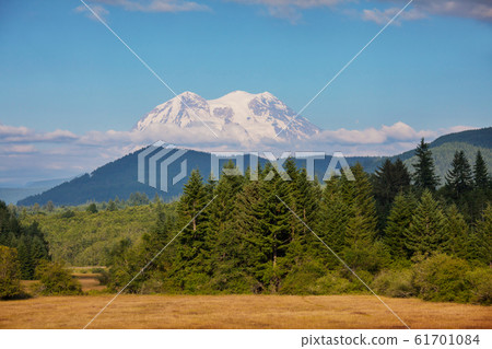 Mt Rainier Mt Rainier 61701084
