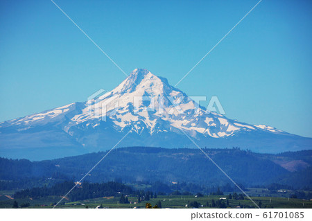 Mt Hood Mt Hood 61701085