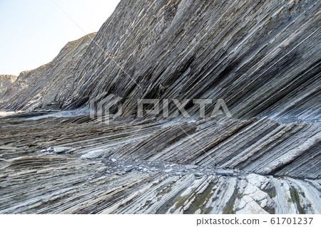 The Flysch Coast of Sakoneta, Zumaia - Basque Country, Spain The Flysch Coast of Sakoneta, Zumaia - Basque Country, Spain 61701237