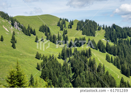 Landscape around Bad Hindelang in Bavaria, Germany 61701289