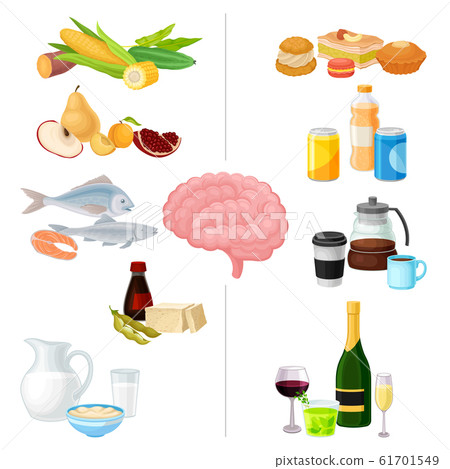 Healthy and Harmful Food for Brain Vector Set. Nutrition for Good and Bad Memory Function Healthy and Harmful Food for Brain Vector Set. Nutrition for Good and Bad Memory Function 61701549