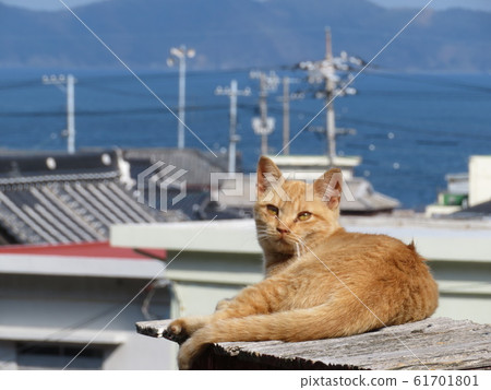 Ikushima Kamiseki Town Yamaguchi Prefecture 61701801