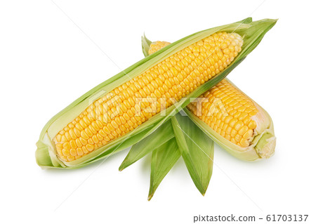 fresh corn vegetable 61703137
