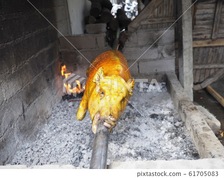 Roast of pigs 61705083