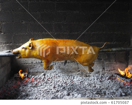 烤豬 61705087
