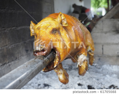 Roast of pigs 61705088