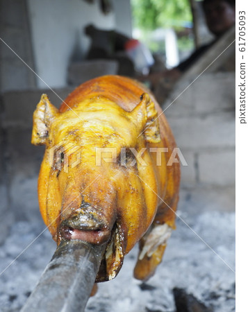 Roast of pigs 61705093